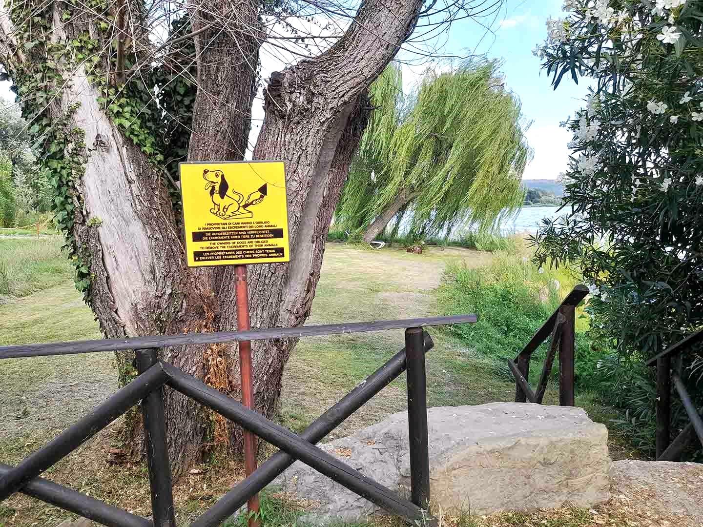 Area pet friendly sulla spiaggia privata