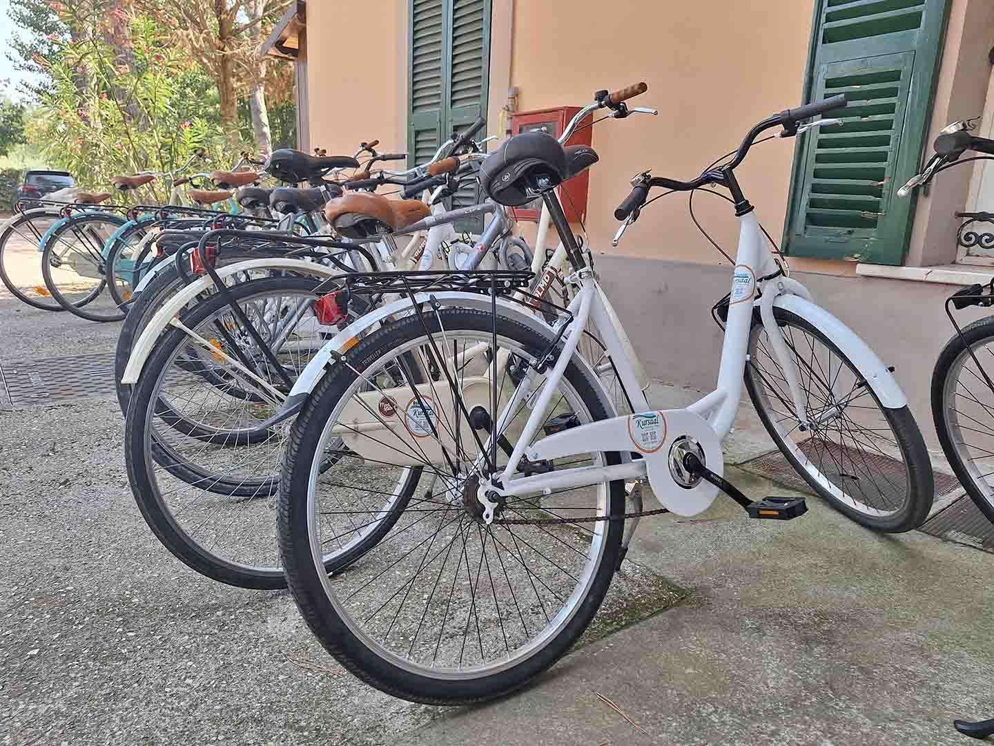 Noleggio biciclette per escursioni