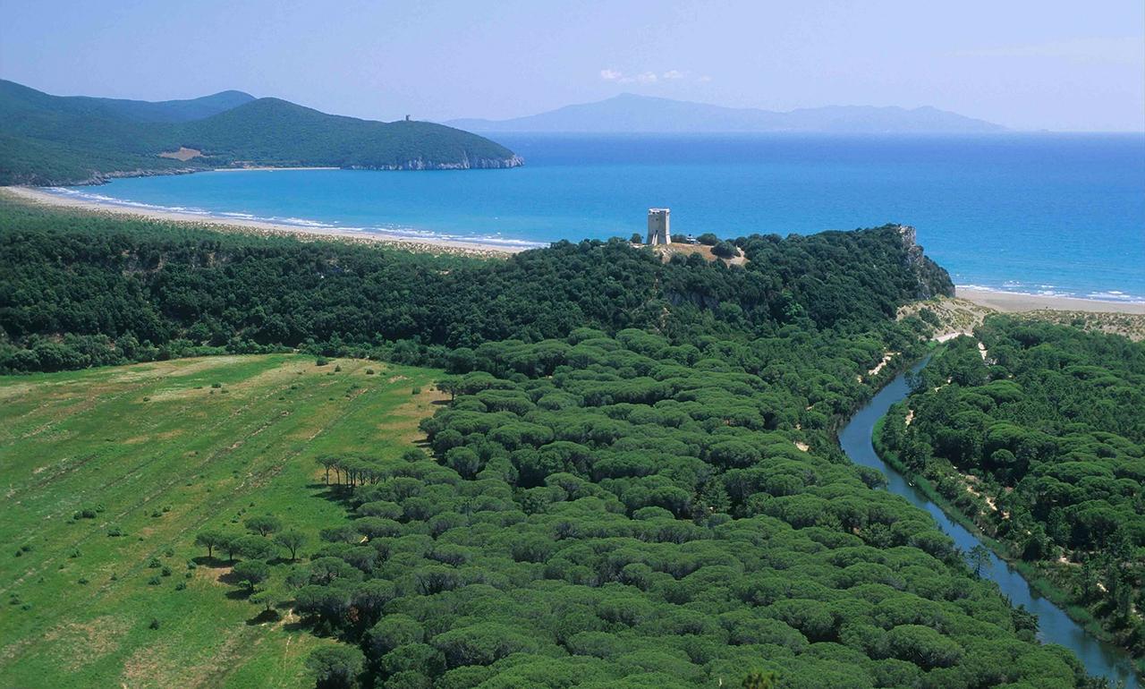 Paesaggio Maremma ulivi vigneti
