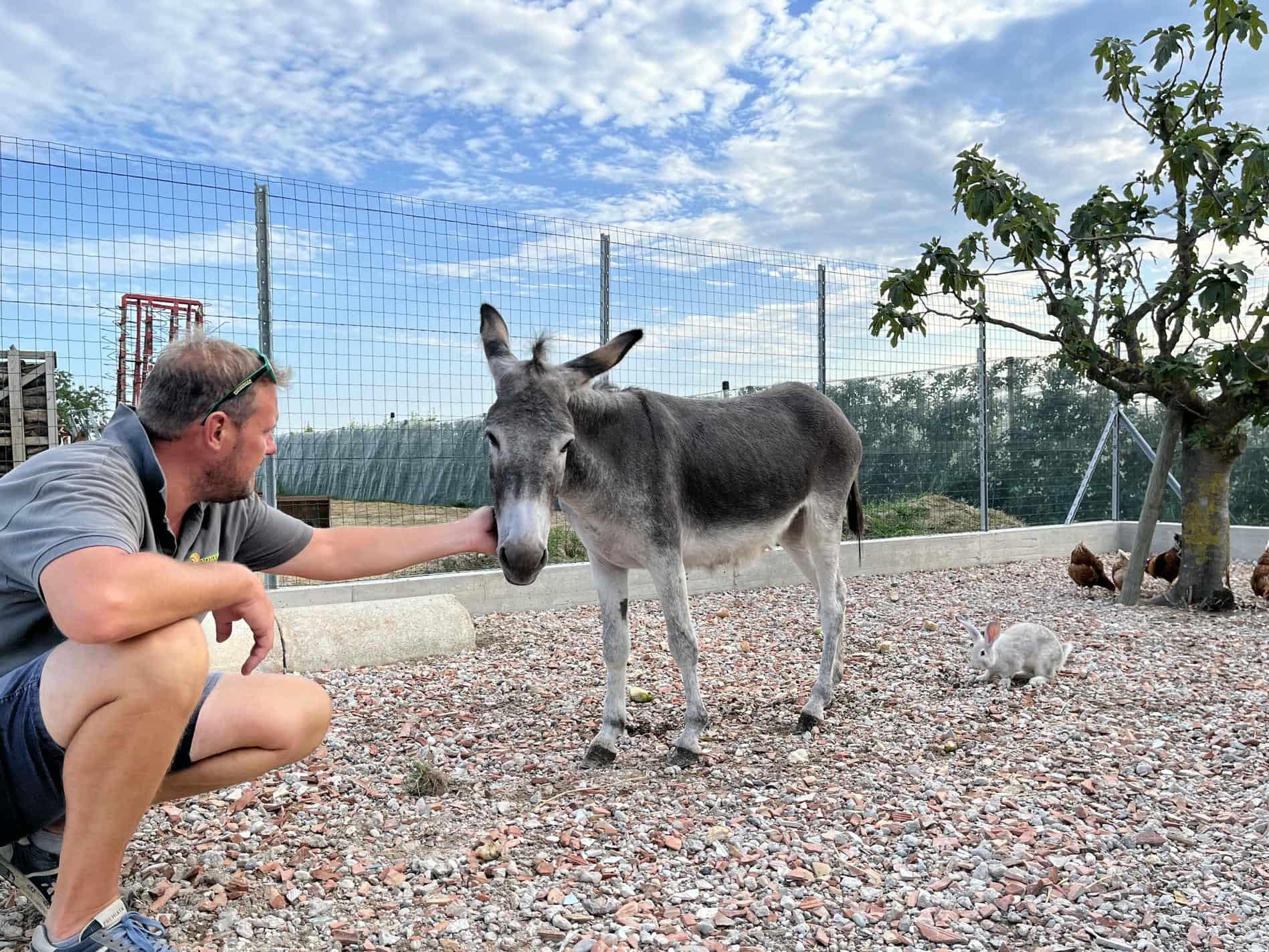 Orto e fattoria didattica del casale