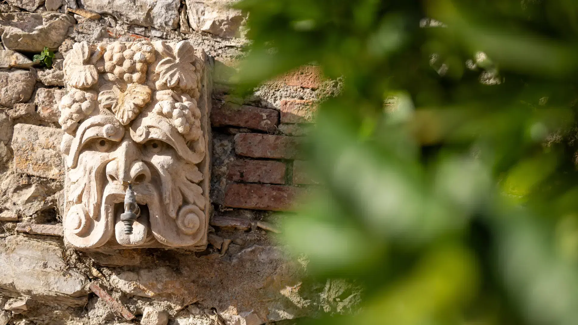 Giardino mediterraneo con profumi di bouganville