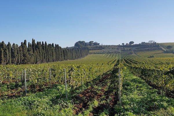 Villa e paesaggio della tenuta