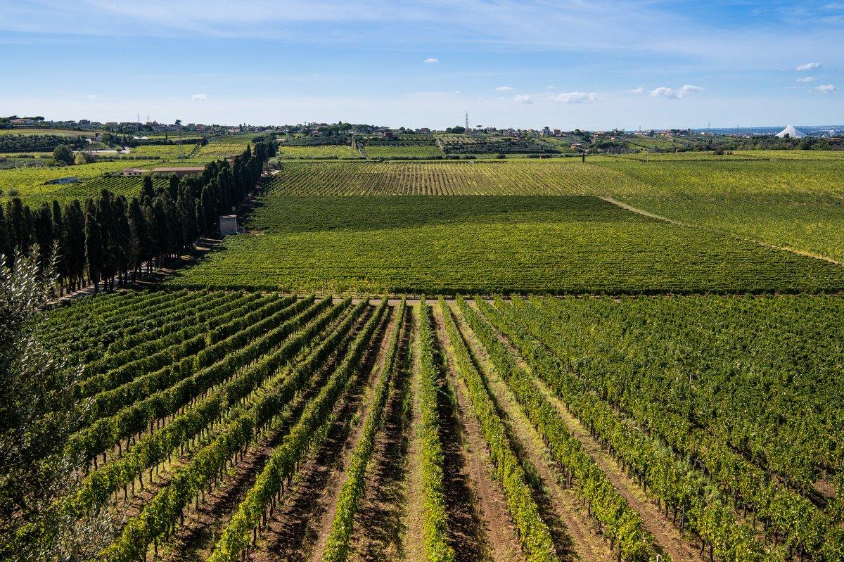 Veduta aerea della tenuta e vigneti