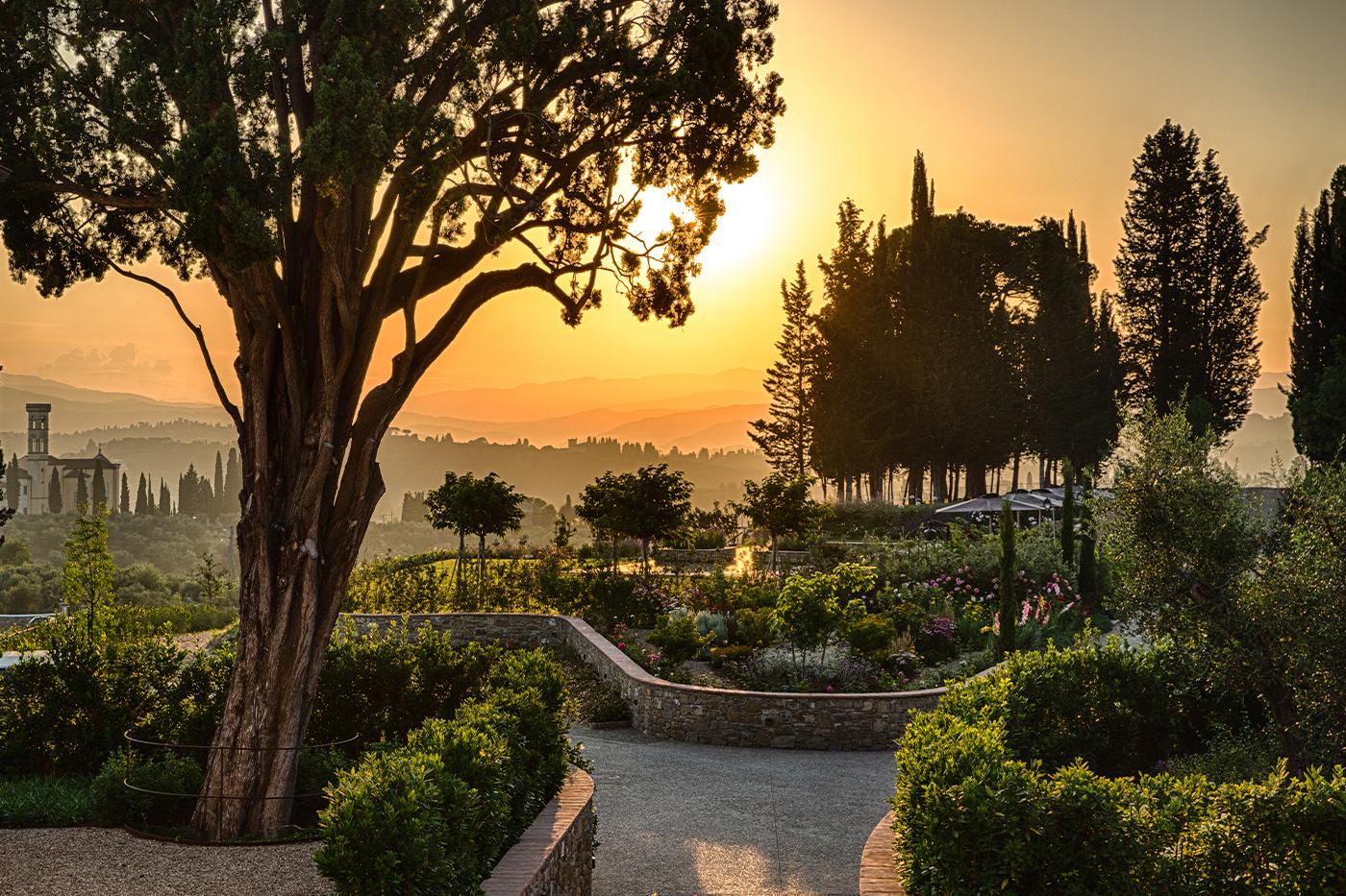 Parco storico con uliveti e colline fiorentine