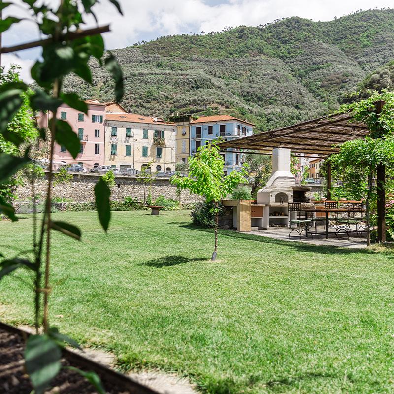 Botte dei pensieri tra gli ulivi