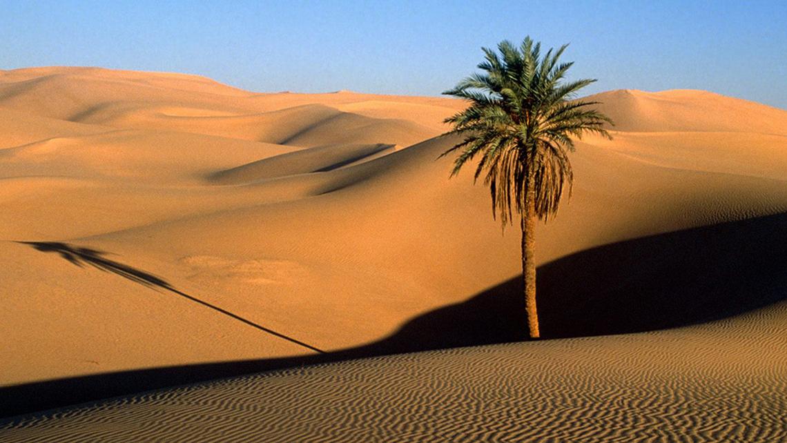 Mercante di Spezie dettagli