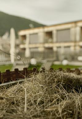 Area sauna con Heusauna e vista panoramica