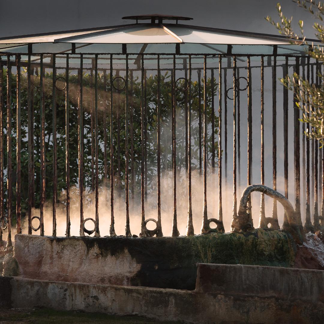 Fonte termale De Pisis