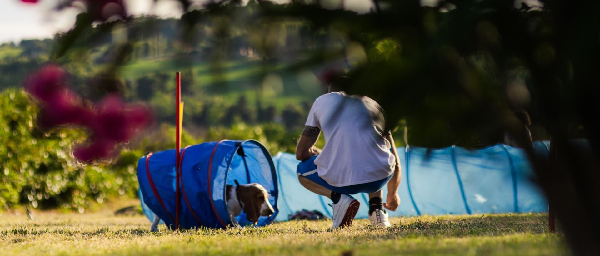 Area ludica per cani con spazio verde