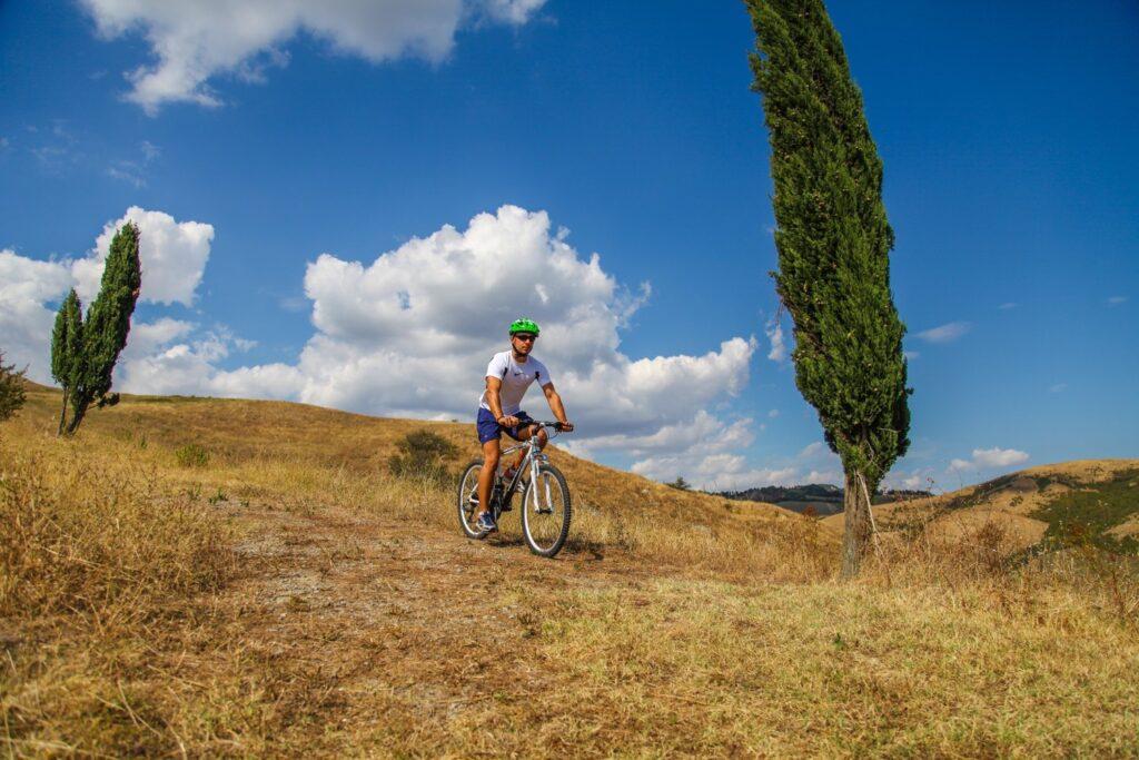 Escursioni in mountain bike